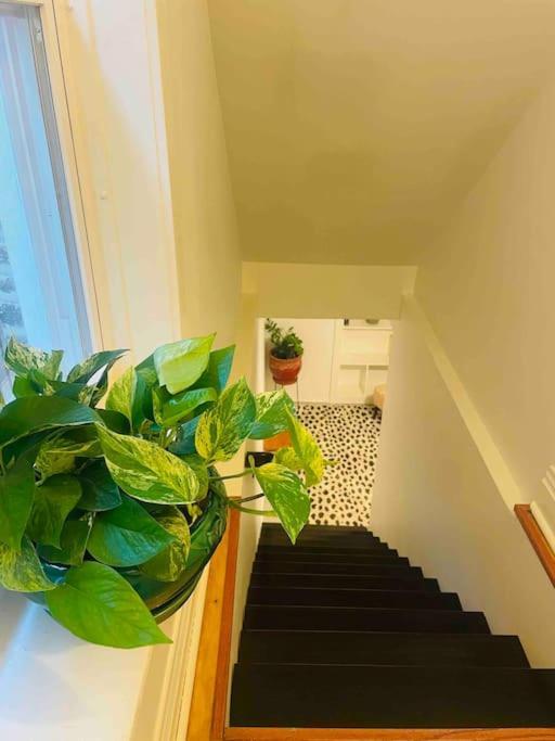 Apartment Private Garden Unit 1br/1ba Chicago